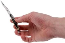 Laguiole En Aubrac Pocket Knife 7 Cm Horn, L0207PCI-SSI1 -Famous Knife Shop AUL0207PCI SSI1 08 laguiole en aubrac aul0207pci ssi1 08