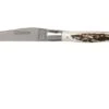 Laguiole En Aubrac 12cm Double Plates, Stag Horn Hand-filed, L0712BCI/FSB1 -Famous Knife Shop AUL0712BCI FSB1 01 laguiole en aubrac