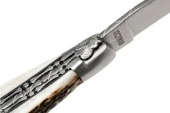 Laguiole En Aubrac 12cm Double Plates, Stag Horn Hand-filed, L0712BCI/FSB1 -Famous Knife Shop AUL0712BCI FSB1 06 laguiole en aubrac