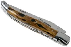 Laguiole En Aubrac 12cm Double Plates, Hand-filed Cactus, L0712CA51-FSI1 -Famous Knife Shop AUL0712CA51 FSI1 04 laguiole en aubrac v202010