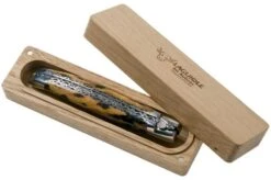 Laguiole En Aubrac 12cm Double Plates, Hand-filed Cactus, L0712CA51-FSI1 -Famous Knife Shop AUL0712CA51 FSI1 08 laguiole en aubrac v202010