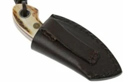 Böker Plus Gnome Stag 02BO268 -Famous Knife Shop BO02BO268 07 boker plus gnome stag bo02bo268 d7