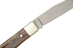 Böker Trapper Bone Buckskin 119949 Slipjoint Pocket Knife -Famous Knife Shop BO119949 05 boker