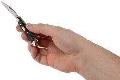 Case Mini Trapper Mediterranean Blue Smooth Bone, 11192, 6207 SS Pocket Knife -Famous Knife Shop CE11192 05 case