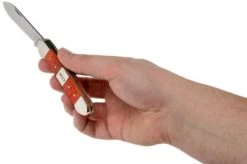 Case 62131 SS Tequila Sunrise Canoe -Famous Knife Shop CE14486 05 case