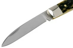 Case Tear Drop, Tang Stamp Series, Peach Seed Jig, Olive Green Bone 21510, TB61028 SS Pocket Knife -Famous Knife Shop CE21510 03 case