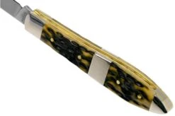 Case Tear Drop, Tang Stamp Series, Peach Seed Jig, Olive Green Bone 21510, TB61028 SS Pocket Knife -Famous Knife Shop CE21510 05 case