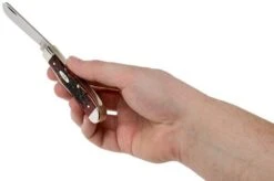 Case Mini Trapper Crimson Red Peach Seed Jigged Bone, 27381, 6207 SS Pocket Knife -Famous Knife Shop CE27381 05 case