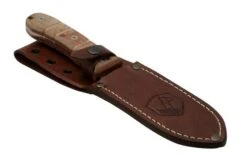 Condor Tactical P.A.S.S. Chute Knife, Fixed Knife -Famous Knife Shop CTK1827 105 4C 06 condor