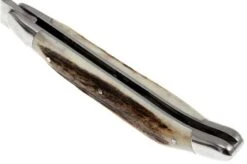 Forge De Laguiole 11cm Deer Horn 1211INCFBRI -Famous Knife Shop LA1211INCFBRI 05 forge de laguiole la1211incfbri 05