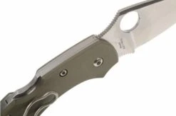 Spyderco Dragonfly Foliage Green G10 C28GPFG Pocket Knife -Famous Knife Shop SPC28GPFG 04 spyderco dragonfly2 foliage green spc28gpfg d4