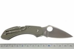 Spyderco Dragonfly Foliage Green G10 C28GPFG Pocket Knife -Famous Knife Shop SPC28GPFG 05 spyderco dragonfly2 foliage green spc28gpfg d5