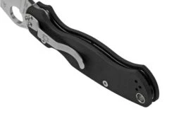 Spyderco Paramilitary 2 C81GP2 Pocket Knife -Famous Knife Shop SPC81GP2 04 spyderco