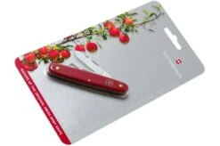 Victorinox Budding Knife Combi S 3.9040.B1 Red -Famous Knife Shop VT3 9040 B1 07 victorinox